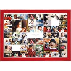シャッフルプリント推奨木製フレーム　A4レッド[4977466702013]