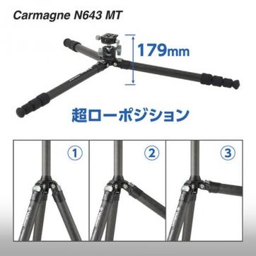 カルマーニュ N643 MT