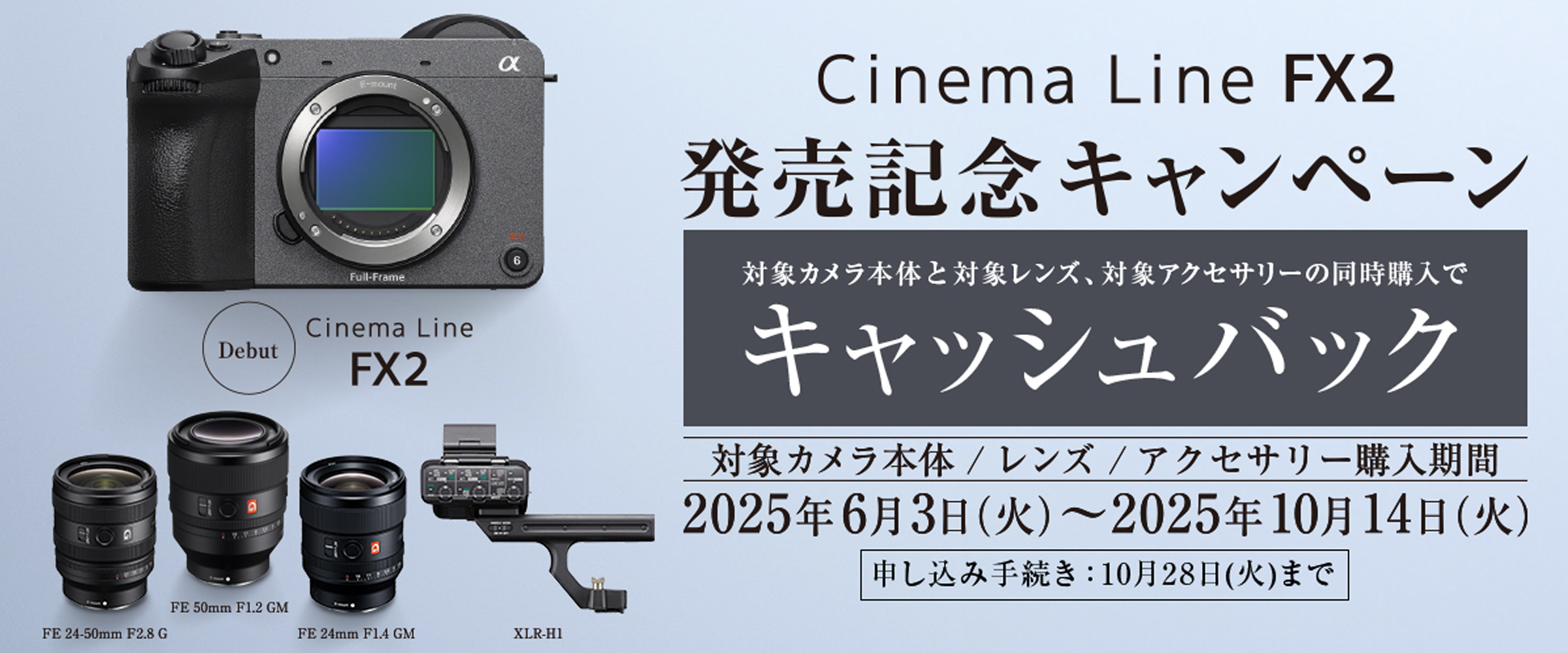 sonyfx.jpg